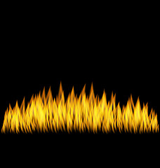 Image showing Realistic Fire Flame Isolated