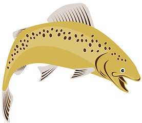 Image showing Trout