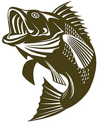 Image showing Sea bass