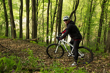 Image showing Cyclist Riding the Bike in Beautiful Spring Forest