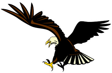 Image showing Eagle attacking