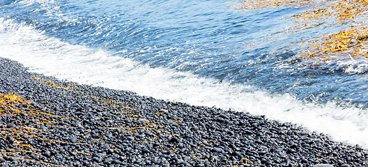 Image showing Pebble stones by the sea