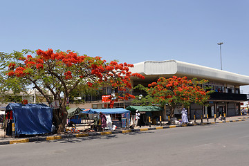 Image showing Street in Francis Town, Botswana