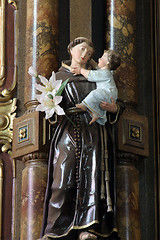 Image showing Saint Anthony of Padua