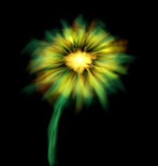 Image showing Abstract Glowing Flower Isolated on Black Background