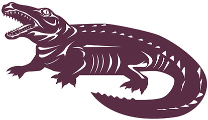 Image showing Crocodile