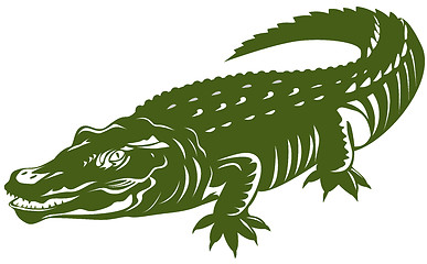 Image showing Crocodile