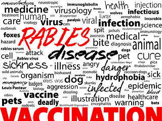 Image showing Rabies - viral incurable disease of humans and animals. Health care word text block.