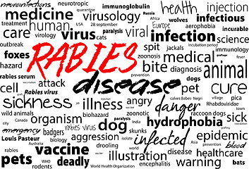 Image showing Rabies - viral incurable disease of humans and animals. Health care word text block.