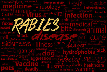 Image showing Rabies - viral incurable disease of humans and animals. Health care word text block.