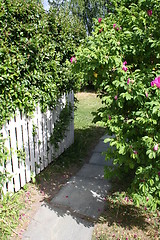 Image showing Garden Path