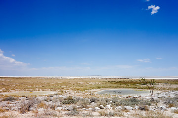 Image showing african landscape