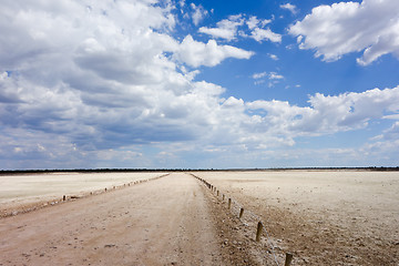 Image showing Etosha landscape