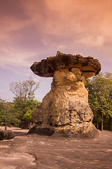 Image showing THAILAND ISAN UDON THANI PHU PHRA BAT NARIONAL PARK