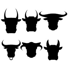 Image showing Set of Bull Heads Silhouettes