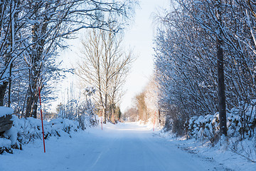 Image showing Country road through a snowy winter landscape