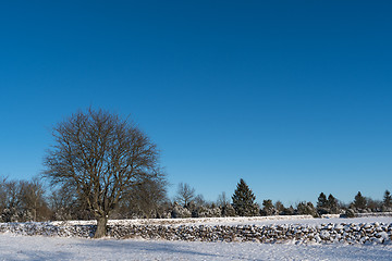 Image showing Winter landscape with snow covered stone walls