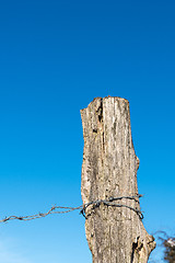 Image showing Weathered old post with barbwire