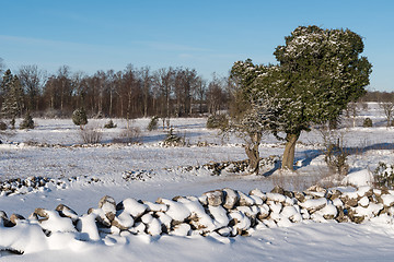 Image showing Winterland with snowy stone walls