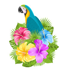 Image showing Parrot Ara, Colorful Hibiscus Flowers Blossom and Tropical Leaves