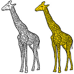 Image showing Sketch of a high African giraffe on a white background. illustration