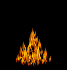 Image showing Realistic Fire Flame on Black Background