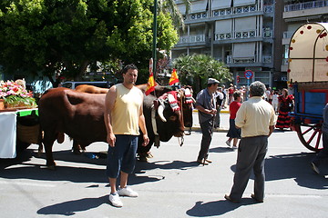 Image showing Fiesta in Spain