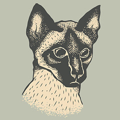 Image showing Siam cat vector illustration