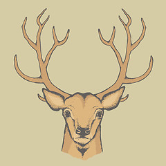 Image showing Deer vector illustration