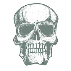 Image showing Vector skull illustration