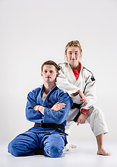 Image showing The two judokas fighters posing on gray