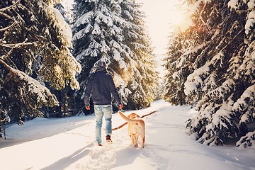 Image showing Trip to winter nature