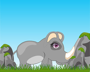 Image showing Rhinoceros on glade