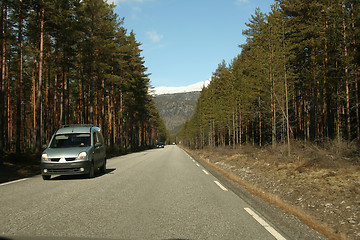 Image showing Traffic in the forrest