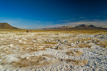 Image showing Empty wilderness in Bolivia