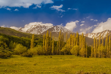 Image showing Wilderness in Cerro Castillo