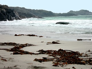 Image showing Beach Karmøy, Norway