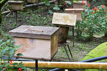 Image showing Bee farms located in Cameron Highlands