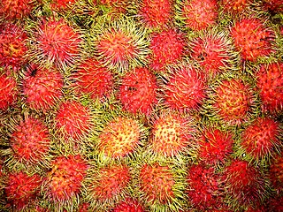 Image showing Red fruits