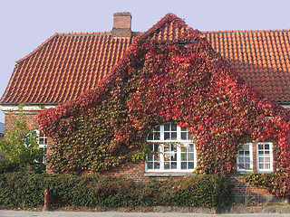 Image showing Autum house