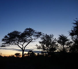 Image showing sunset sky