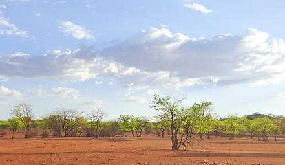 Image showing Kalahari