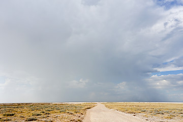Image showing Etosha landscape
