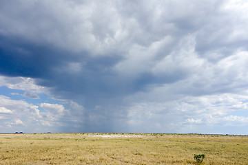 Image showing rainy weather