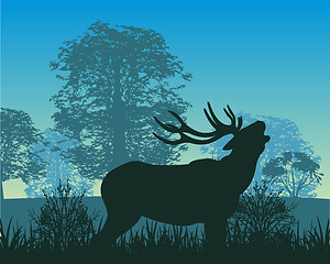 Image showing Deer in wood