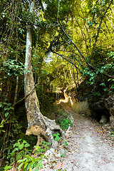 Image showing path way , Indonesia, Bali