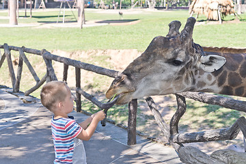 Image showing in the Zoo