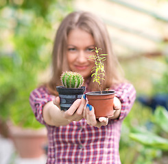 Image showing smiling woman in greenhouse
