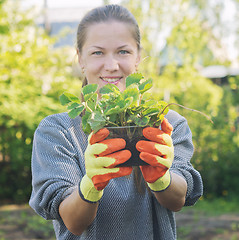 Image showing woman with plants