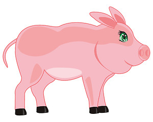 Image showing Pets animal pig
